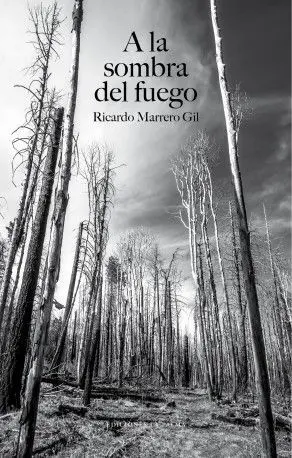 A la Sombra del Fuego