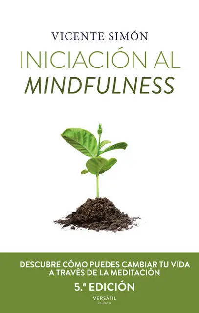 Iniciacon Al Mindfulness