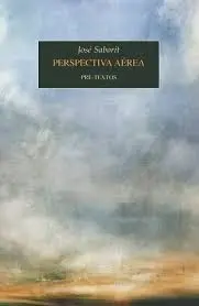 Perspectiva Aérea