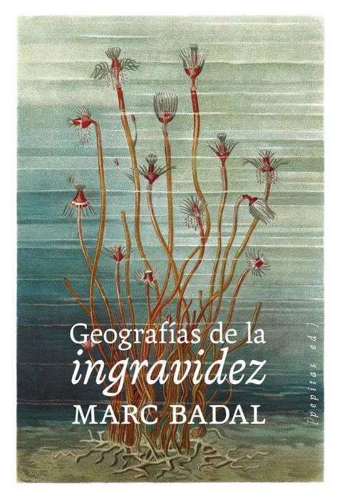 Geografias de la Ingravidez