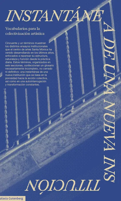 Instantanea de una Nueva Institucion