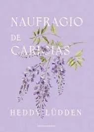 Naufragio de Caricias