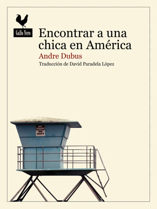 Encontrar a una Chica en America