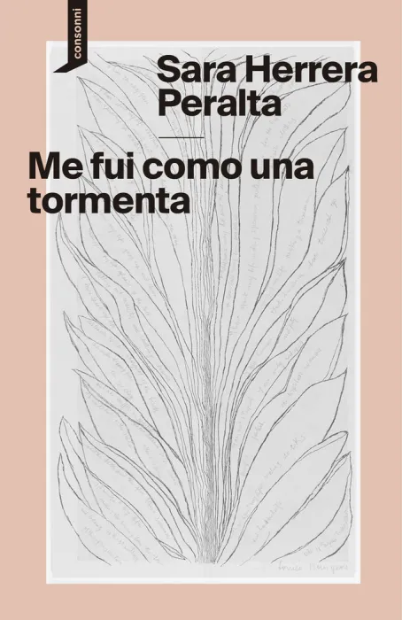 Me Fui Como una Tormenta