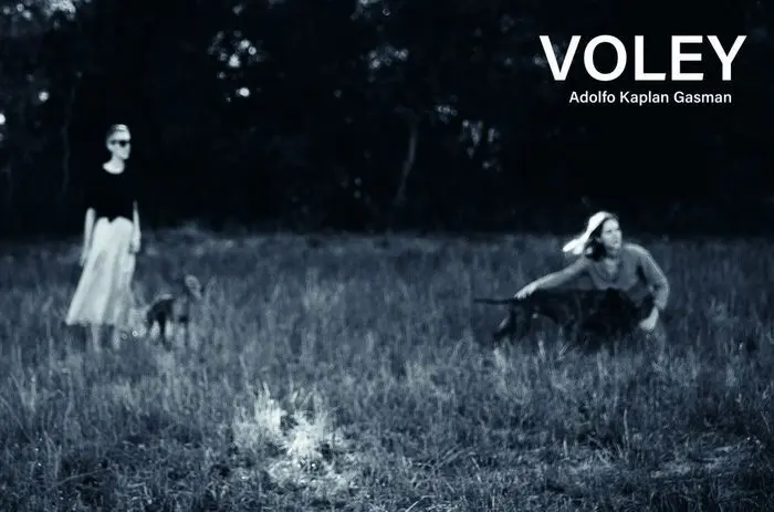 Vóley