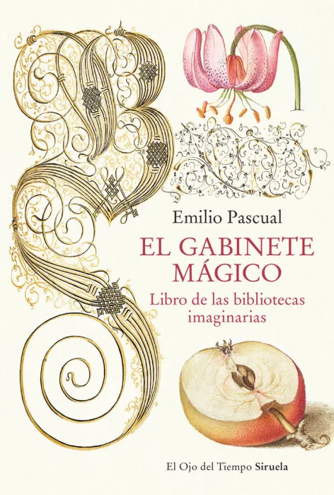 El Gabinete Magico