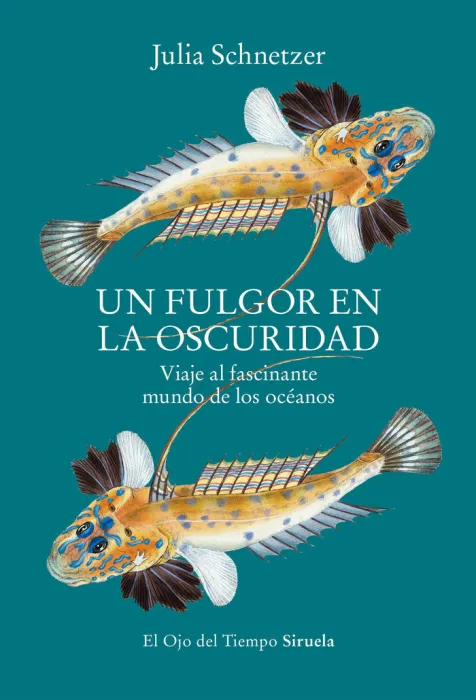 Un Fulgor en la Oscuridad