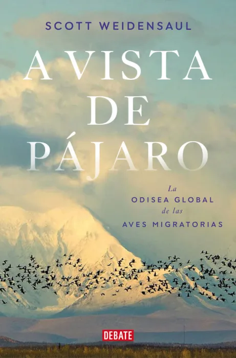 A Vista de Pájaro