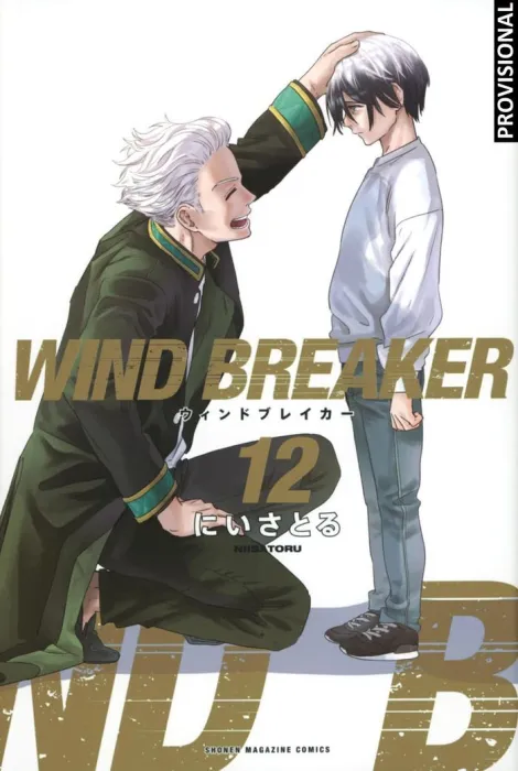 Wind Breaker 12