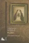 Flush