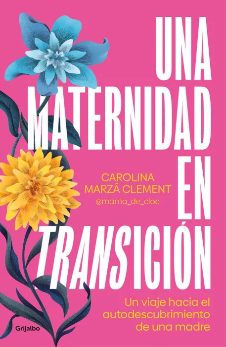 Una Maternidad en Transición