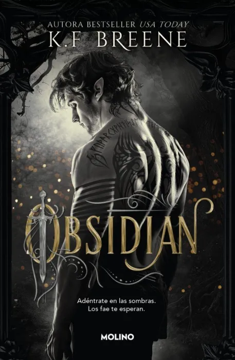 Obsidian (Los Fae de las Sombras 1)