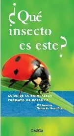 Que Insecto Es Este?