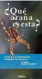 Que Araña Es Esta?
