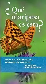 Que Mariposa Es Esta?