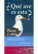 Que Ave Es Esta? Playas y Costa