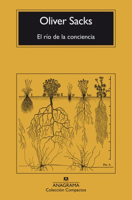 El Río de la Conciencia