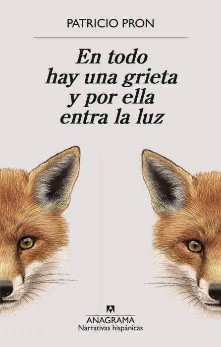 En Todo Hay una Grieta y por ella Entra la Luz