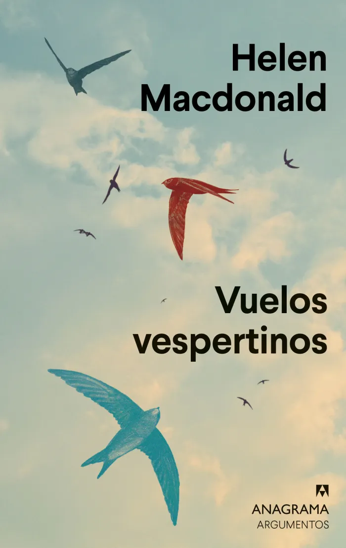 Vuelos Vespertinos