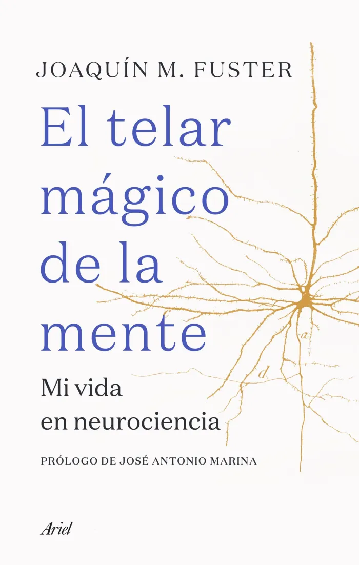 El Telar Mágico de la Mente