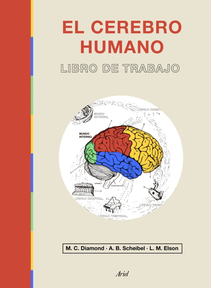 El Cerebro Humano. Libro de Trabajo