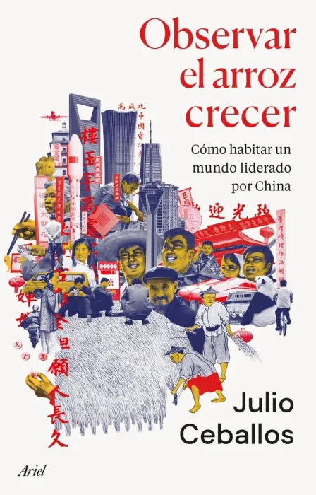Observar el Arroz Crecer