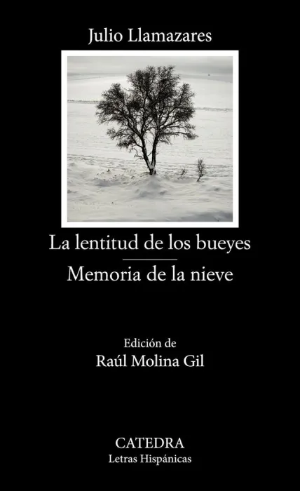 La Lentitud de los Bueyes / Memoria de la Nieve