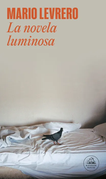 La Novela Luminosa