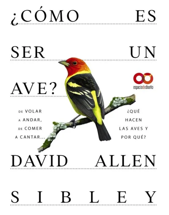 Cómo Es Ser un Ave? de Volar a Anidar, de Comer a Cantar... Qué Hacen las Aves y por Qué?