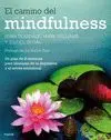 Camino del Mindfulness, el