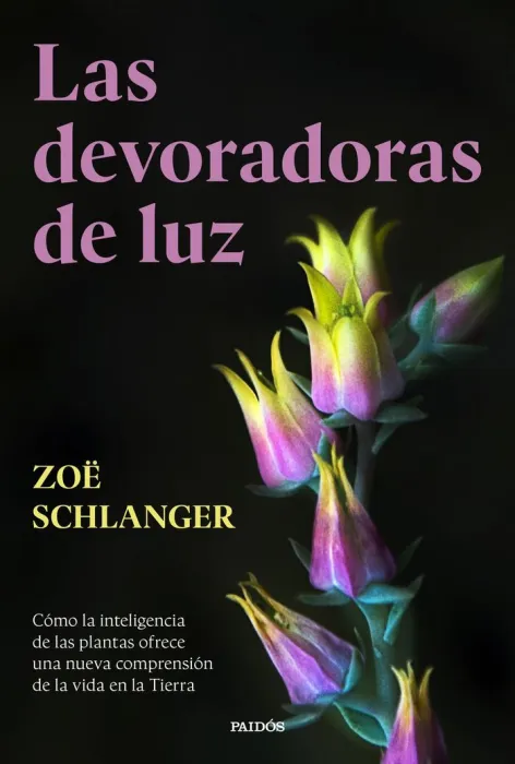 Las Devoradoras de Luz