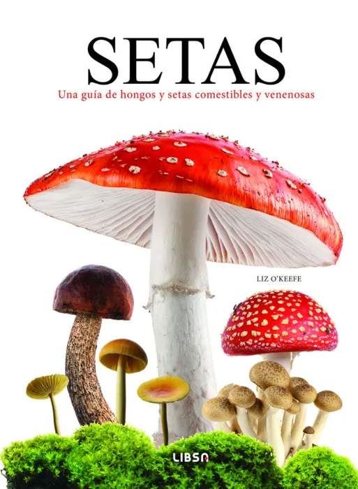 Setas