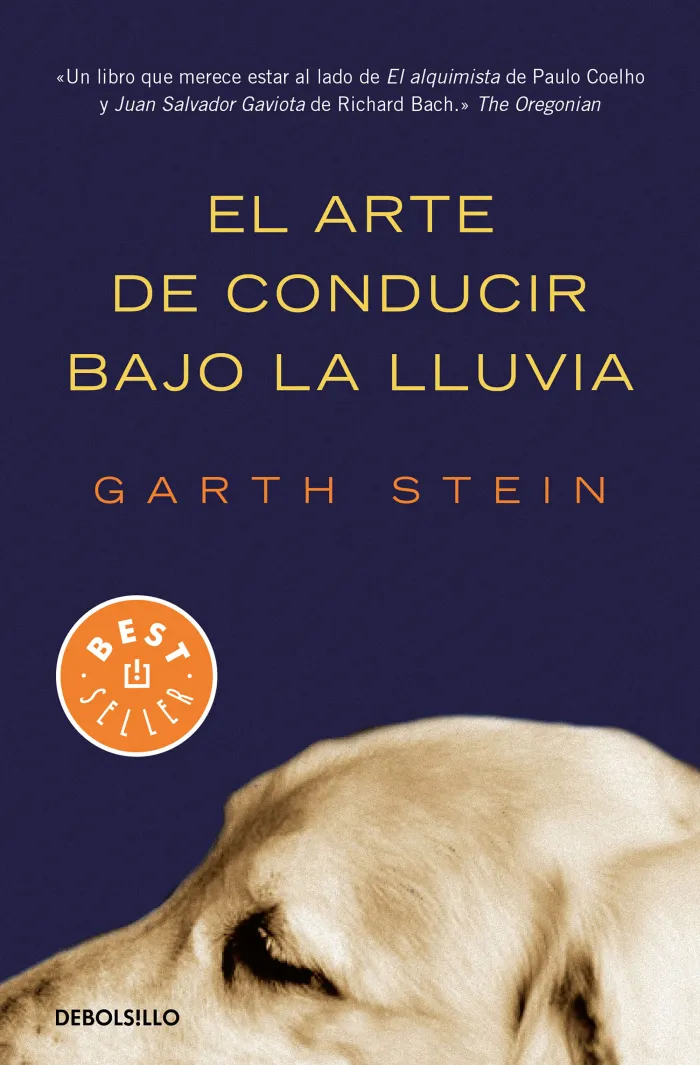 El Arte de Conducir R Bajo la Lluvia
