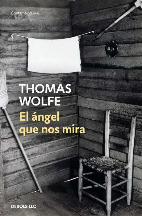 El Ángel que nos Mira