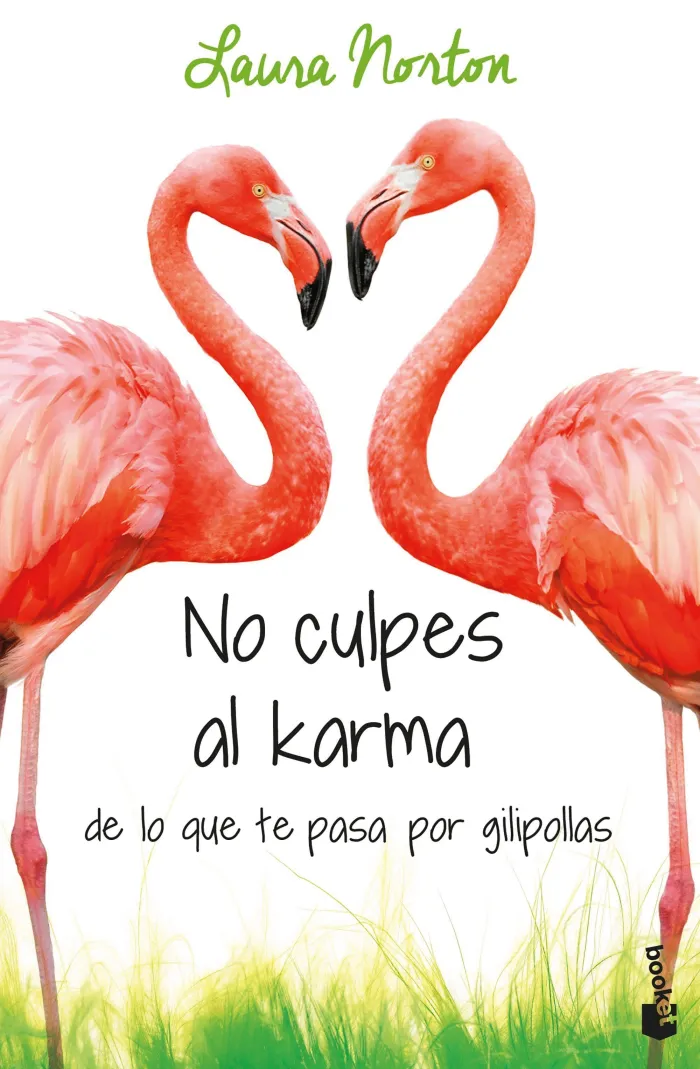 No Culpes Al Karma de lo que te Pasa por Gilipollas