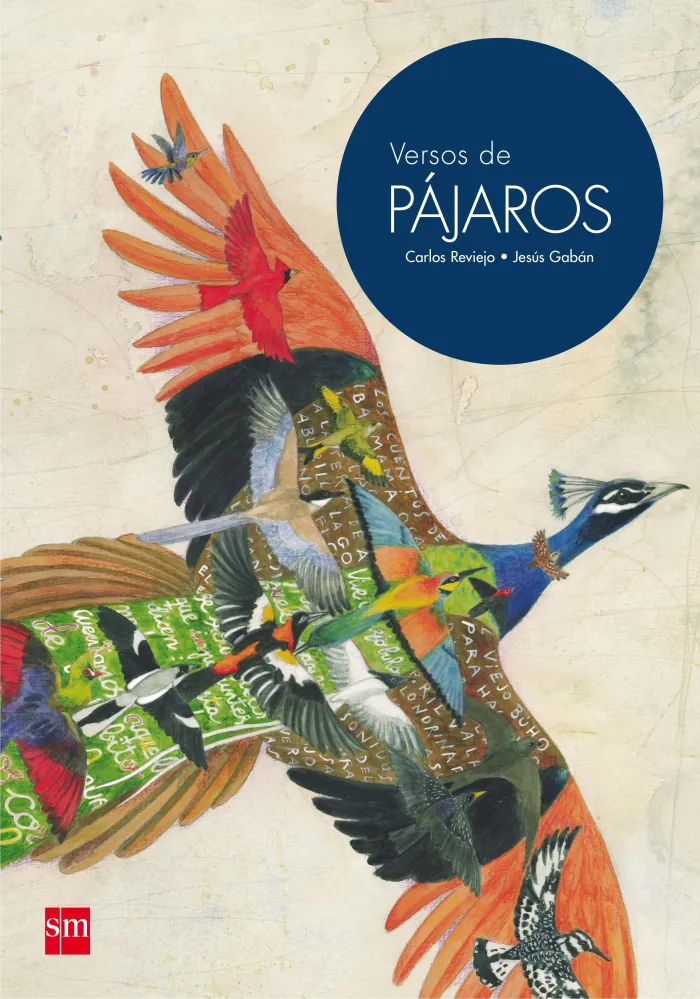 Versos de Pajaros