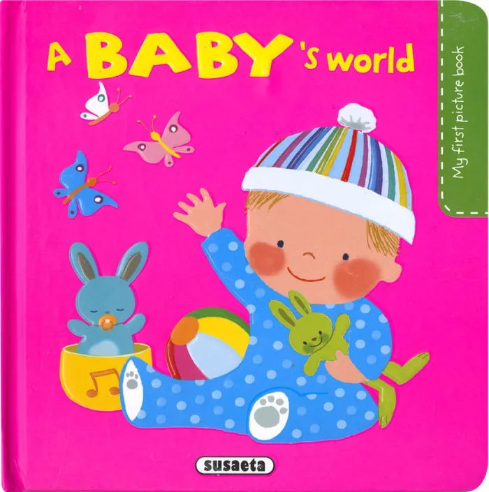 A Baby ' S World - My First Picture Book