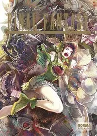 Final Fantasy Lost Stranger