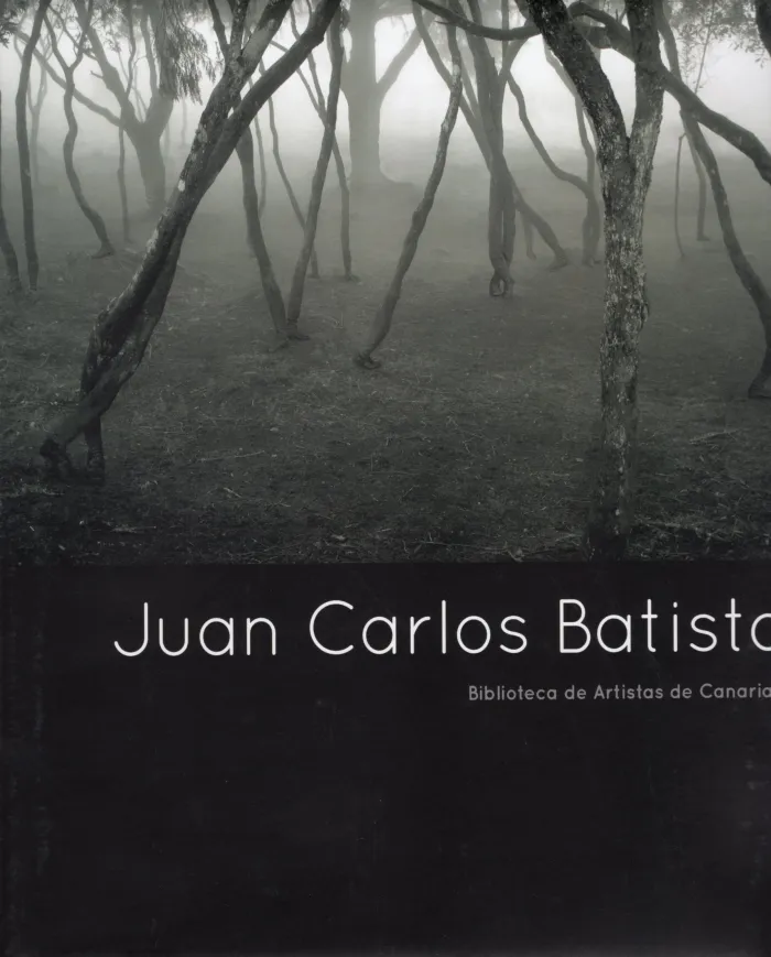 Juan Carlos Batista - Biblioteca de Artistas Canarios 67