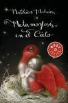 Metamorfosis en el Cielo