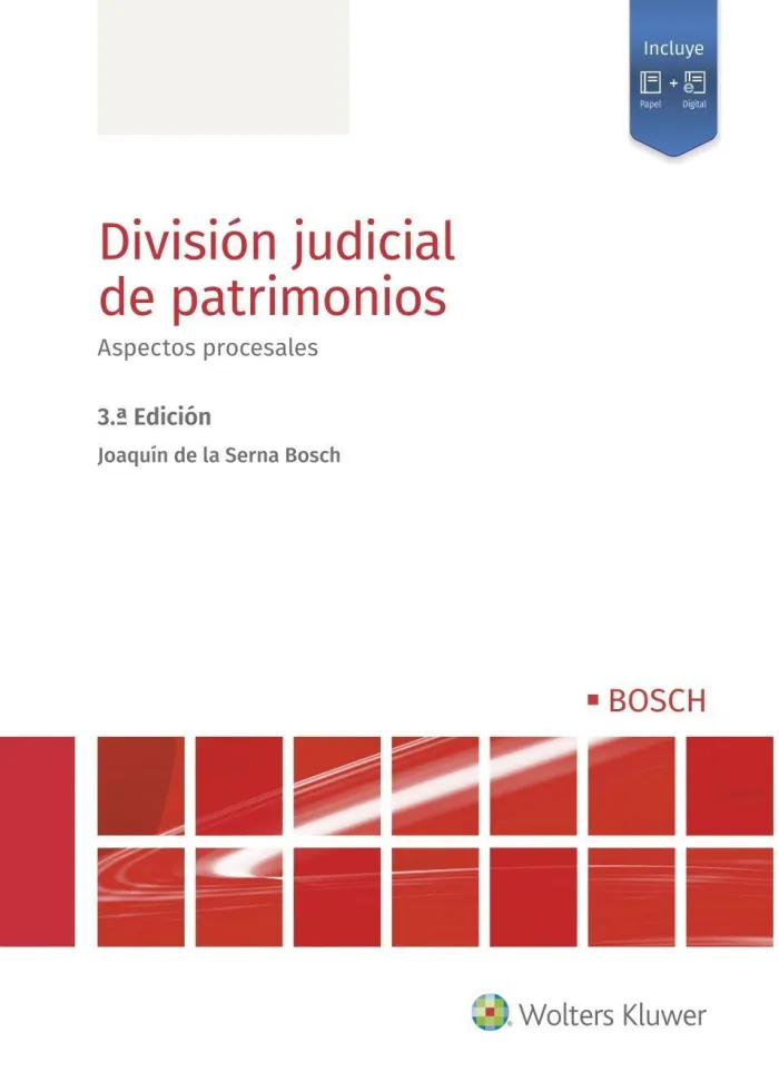 Division Judicial de Patrimonios. Aspectos Procesales