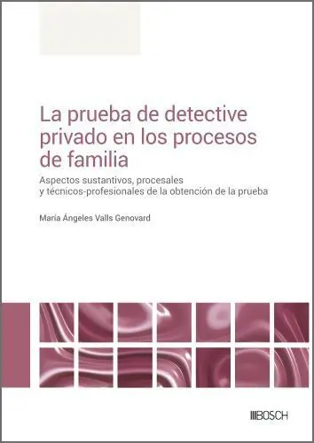 La Prueba de Detective Privado en los Procesos de Familia