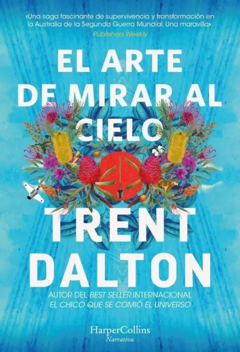 El Arte de Mirar Al Cielo