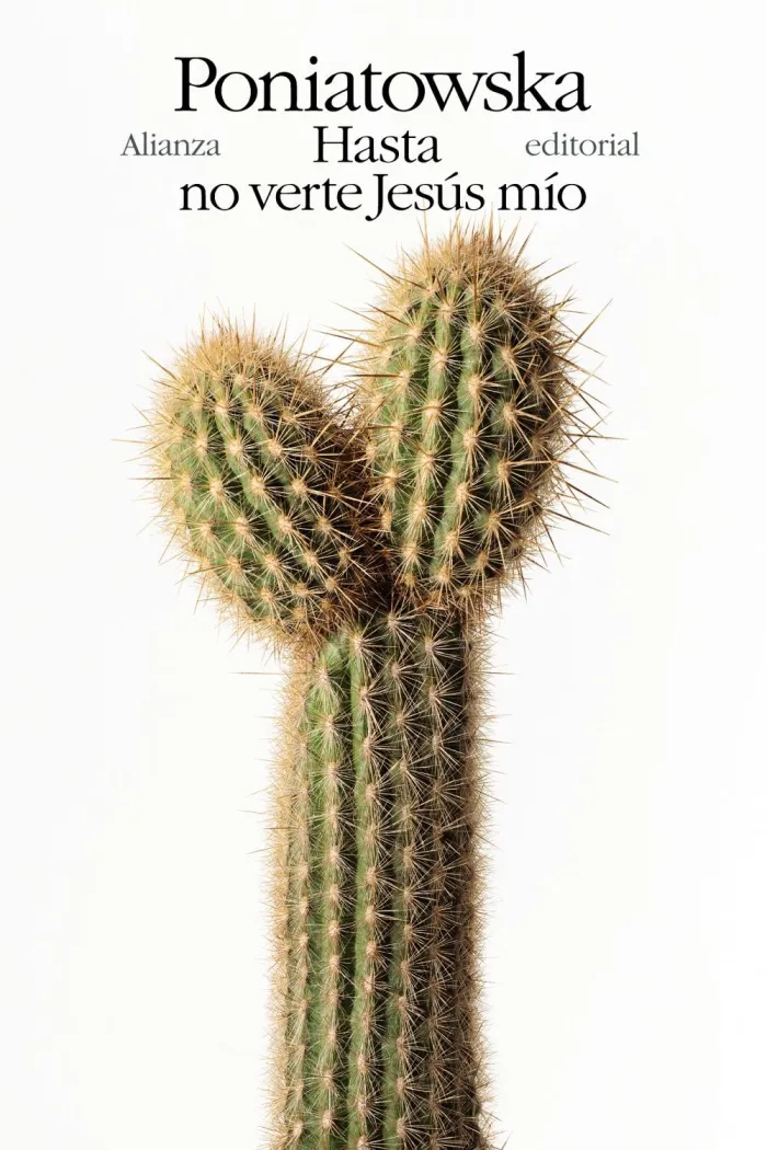 Hasta no Verte Jesús mío