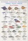 Laminas Peces Canarias - Guia Sumergible