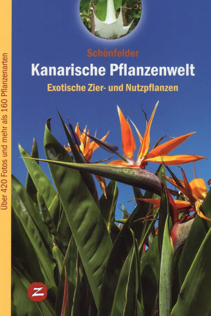 Kanarische Pflanzenwelt (Plantas de Canarias)