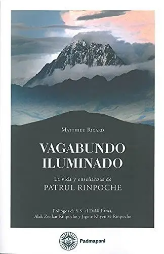 Vagabundo Iluminado