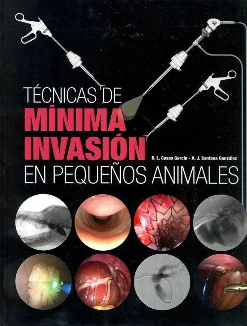 Técnicas de Mínima Invasión en Pequeños Animales