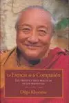 Esencia de la Compasión de Dilgo Khyentse Rimpoché, la