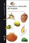 Conchas y Caracolas del Mundo